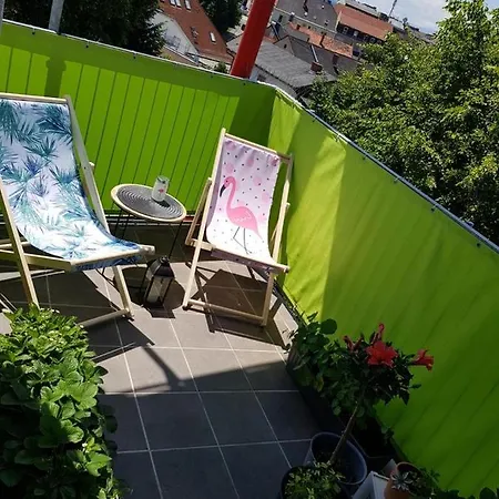 Apartment Ferienwohnung Irma